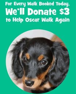 save-oscar