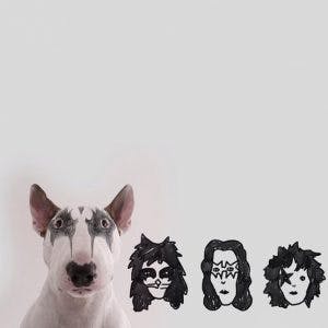 215005-R3L8T8D-650-Jimmy-the-Bull-Terrier12__605