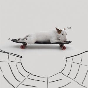 215305-R3L8T8D-650-Jimmy-the-Bull-Terrier18__605