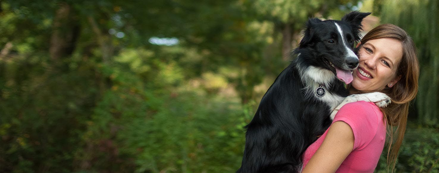 Do Dogs Like Being Picked Up