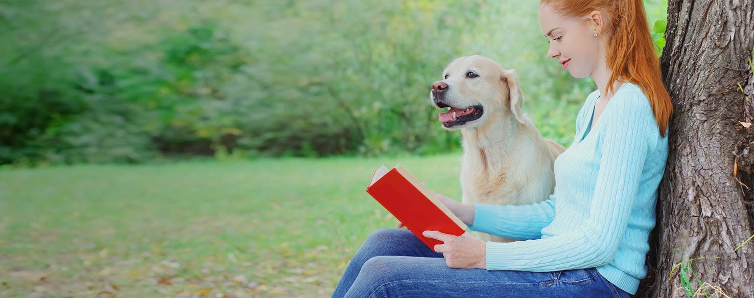 Top Activities For Dogs With Smart Owners Wag!