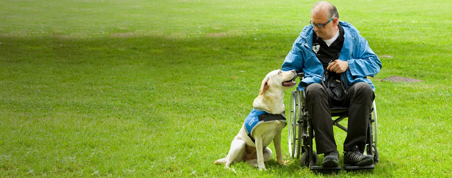 Top Activities For Dogs After Owner's Surgery Wag!