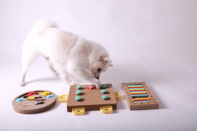 Best Puzzle Toys for Dogs 2024 image