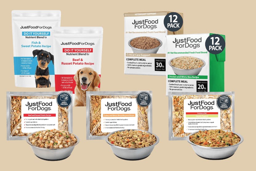 JustFoodForDogs Dog Food Review 2024 image