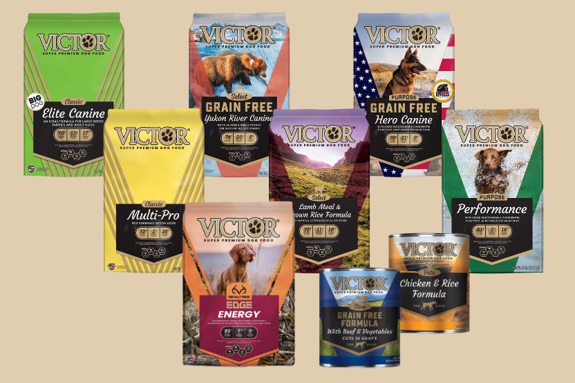 Victor Dog Food Review 2024 image