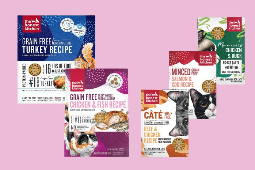 The Honest Kitchen Cat Food Review 2024 image