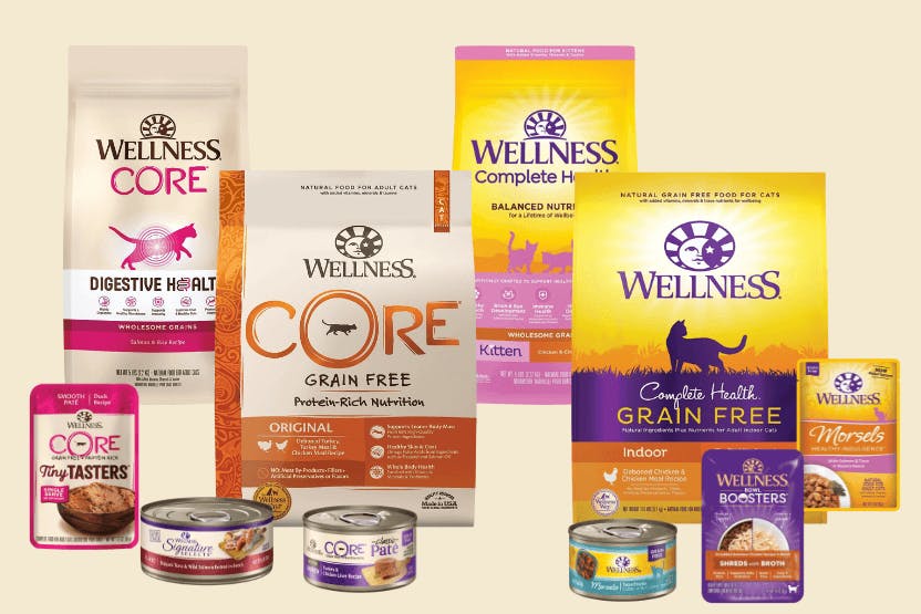 Wellness Cat Food Review 2024 image