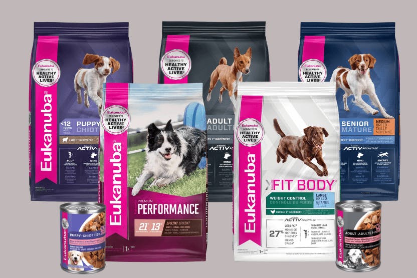 Exclusive puppy food reviews sale