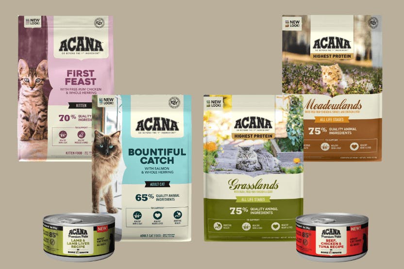 Acana Cat Food Review 2024 image
