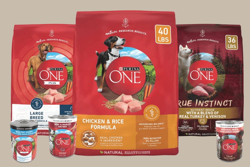 Purina One Dog Food Review 2024 image