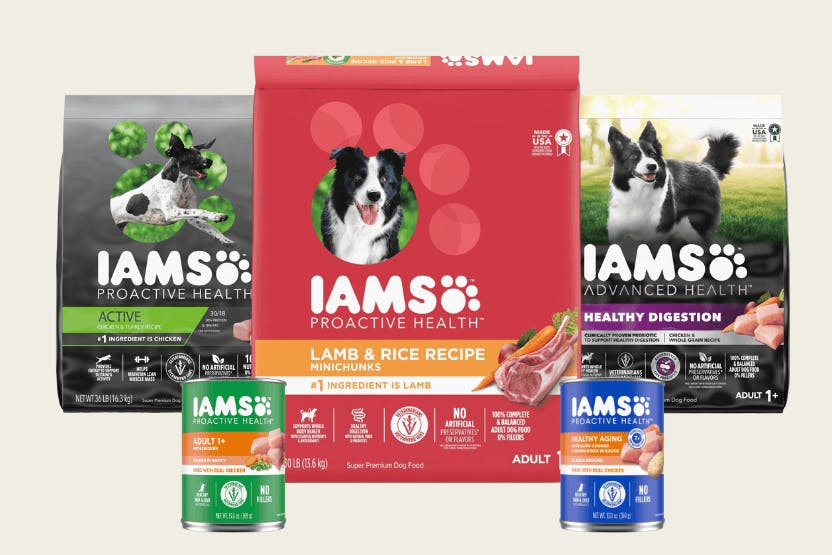 Iams Dog Food Review 2024 image