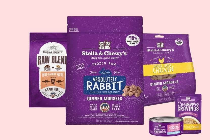 Stella and chewy's hotsell raw cat food reviews