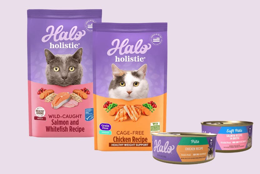 Halo salmon cat food hotsell