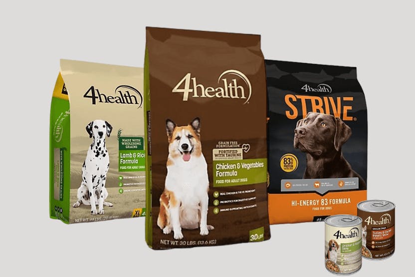 4health Dog Food Review 2024 image