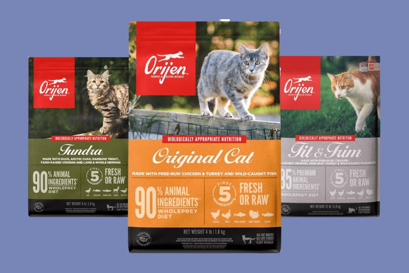 Orijen Cat Food Review 2024 image