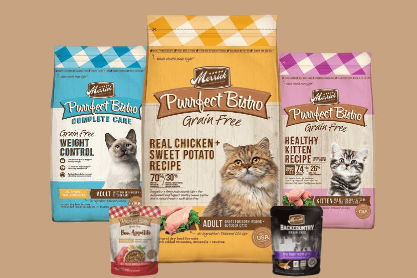 Merrick Cat Food Review 2024 image