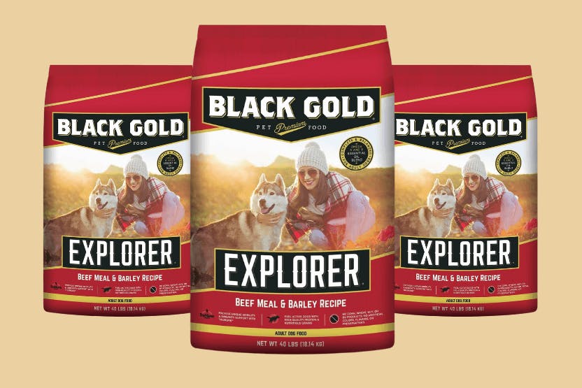 Black gold puppy food hotsell