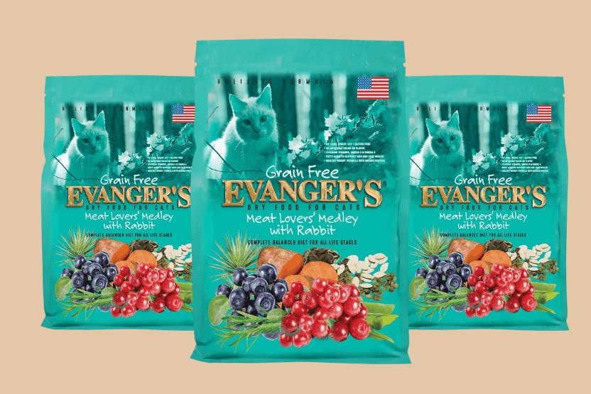 Evanger’s Cat Food Review 2024 image