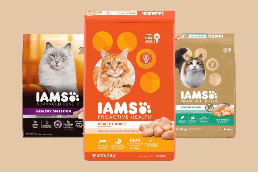 Iams Cat Food Review 2024 image