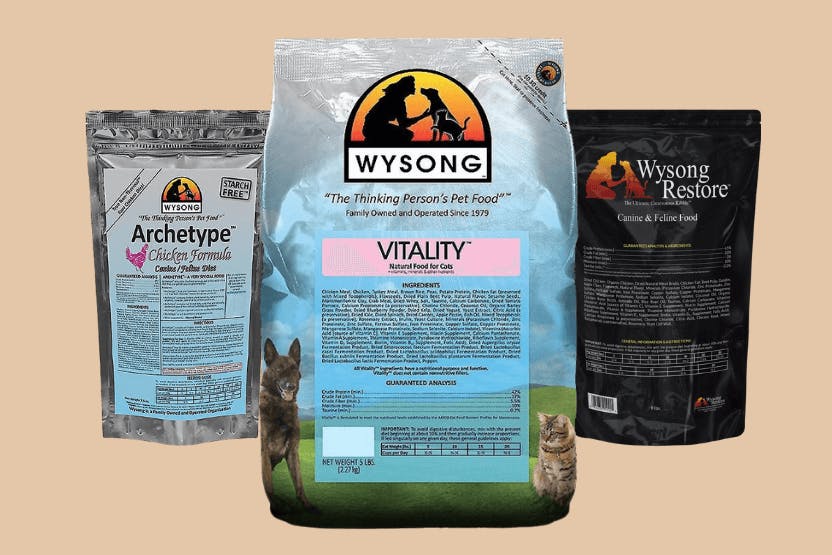 Wysong Cat Food Review 2024 image