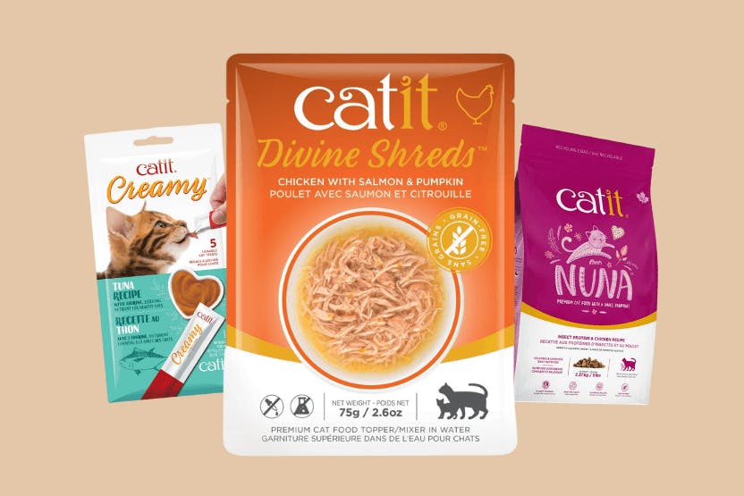 Catit Cat Food Review 2024 image