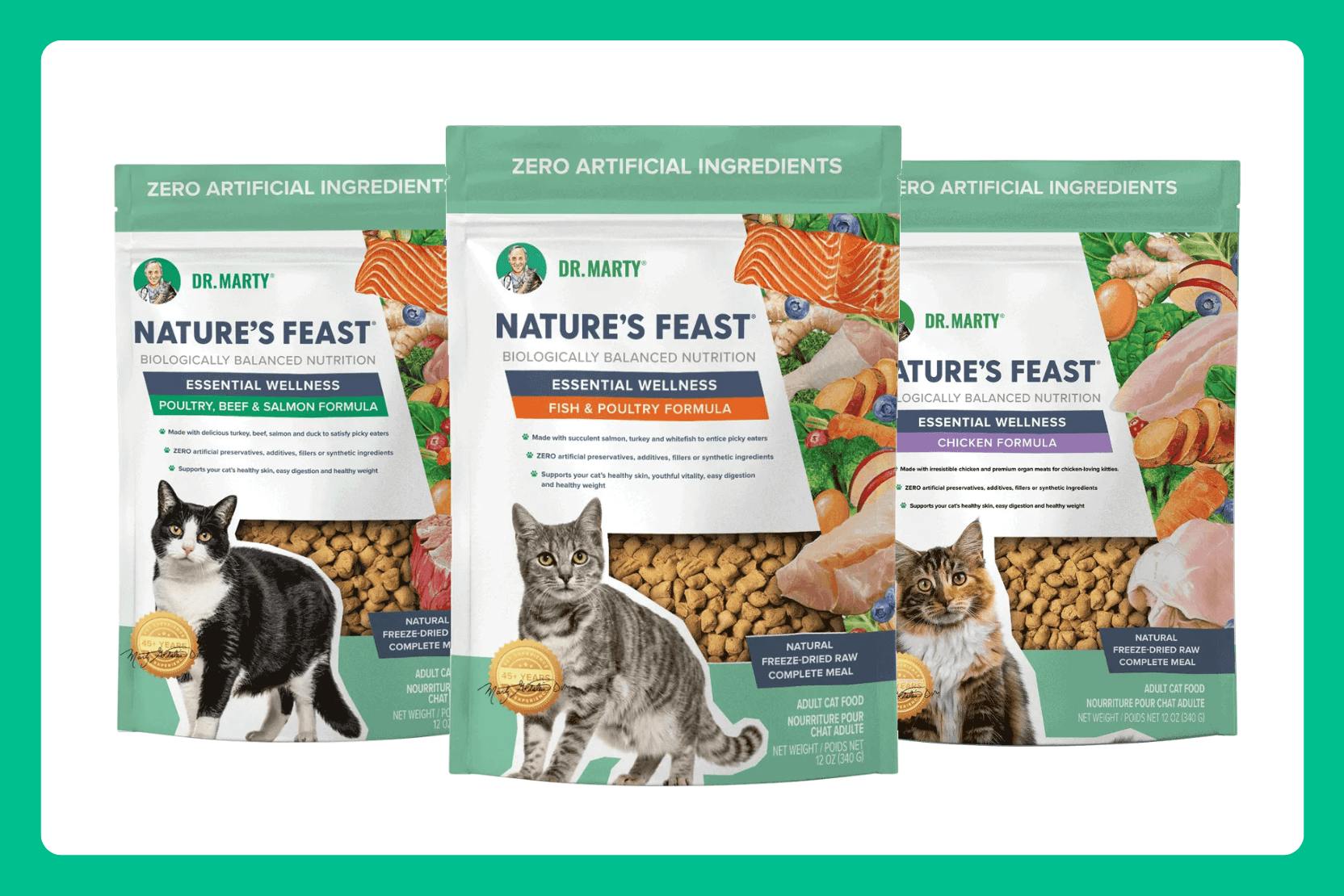Dr. Marty Nature’s Feast Cat Food Review 2025 image