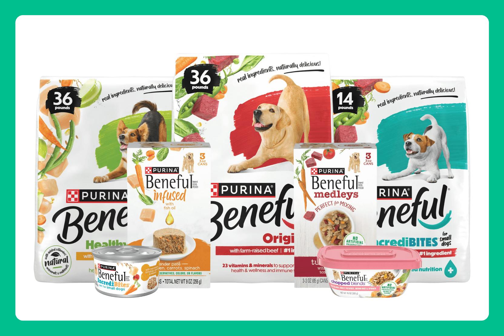 beneful small bites review