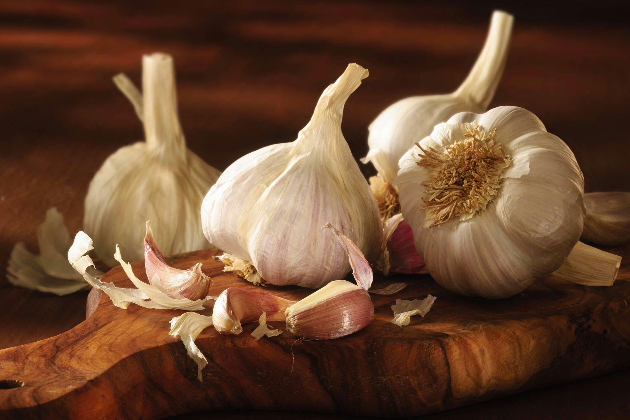 what are the symptoms of garlic poisoning in dogs