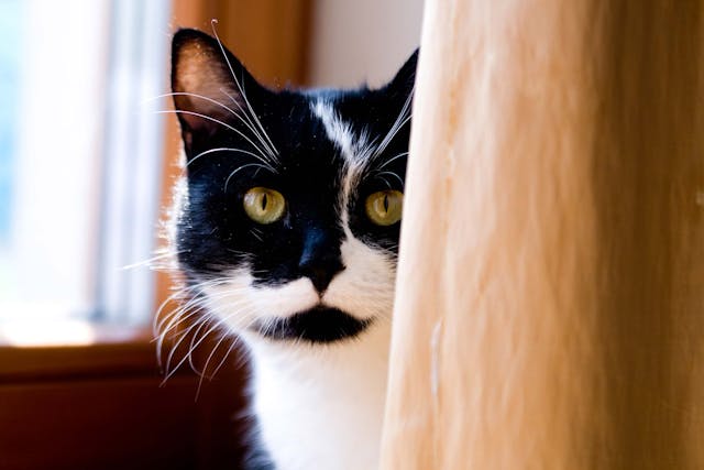 Glaucoma Symptoms Causes Diagnosis Treatment Recovery