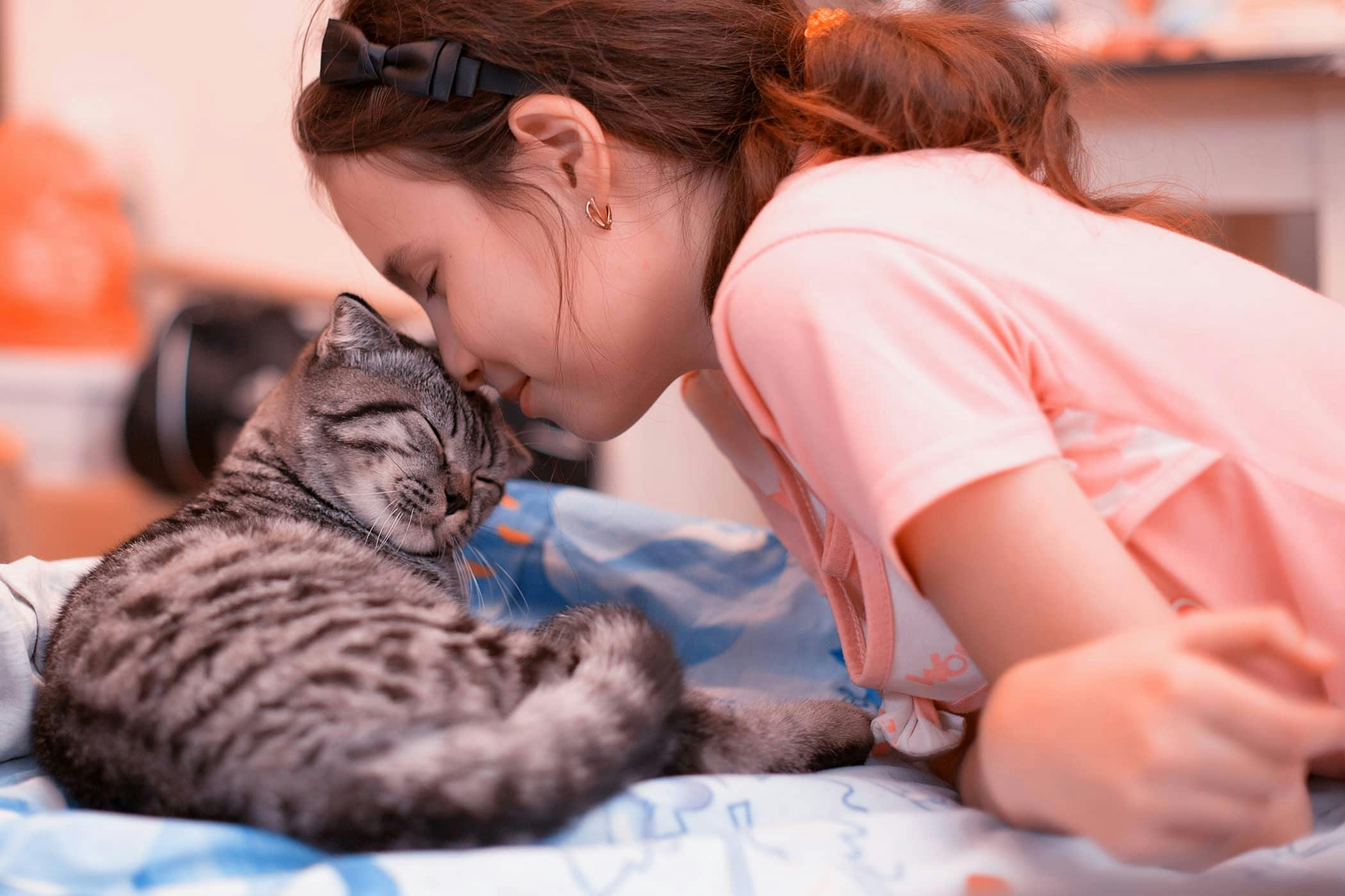 Stuck On You? 6 Reasons Why Your CH Cat May Be Extra Clingy