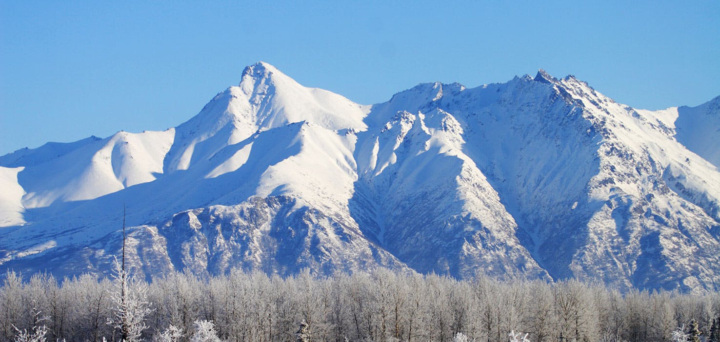 Alaska Credit Card Login >> Dog Walkers in Chugiak, AK - Dog Walking Near You | Wag! Alaska Credit Card Login >> Dog Walkers in Chugiak, AK - Dog Walking Near You | Wag!