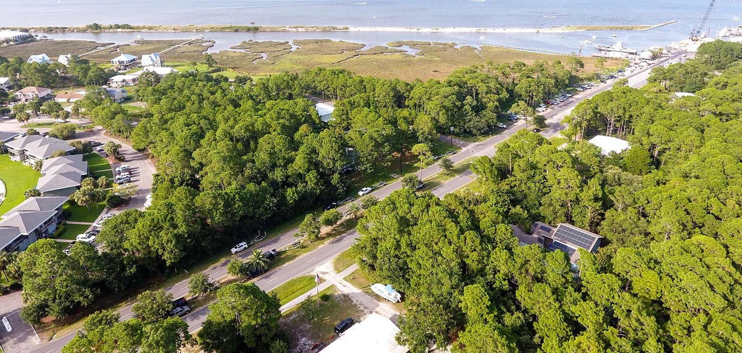 Dog Walkers in Dauphin Island, AL Dog Walking Near You Wag!