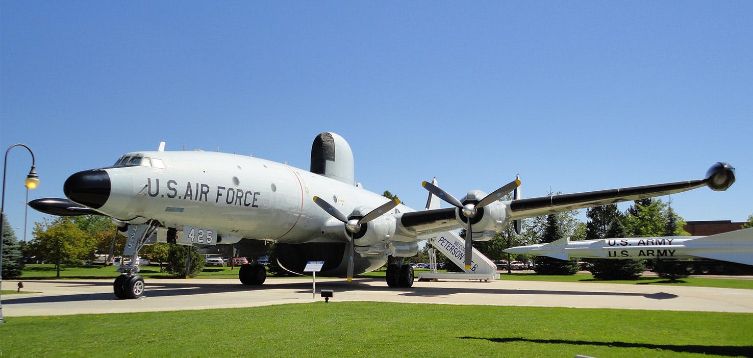 Dog Walkers in Little Rock Air Force Base AR  Dog 