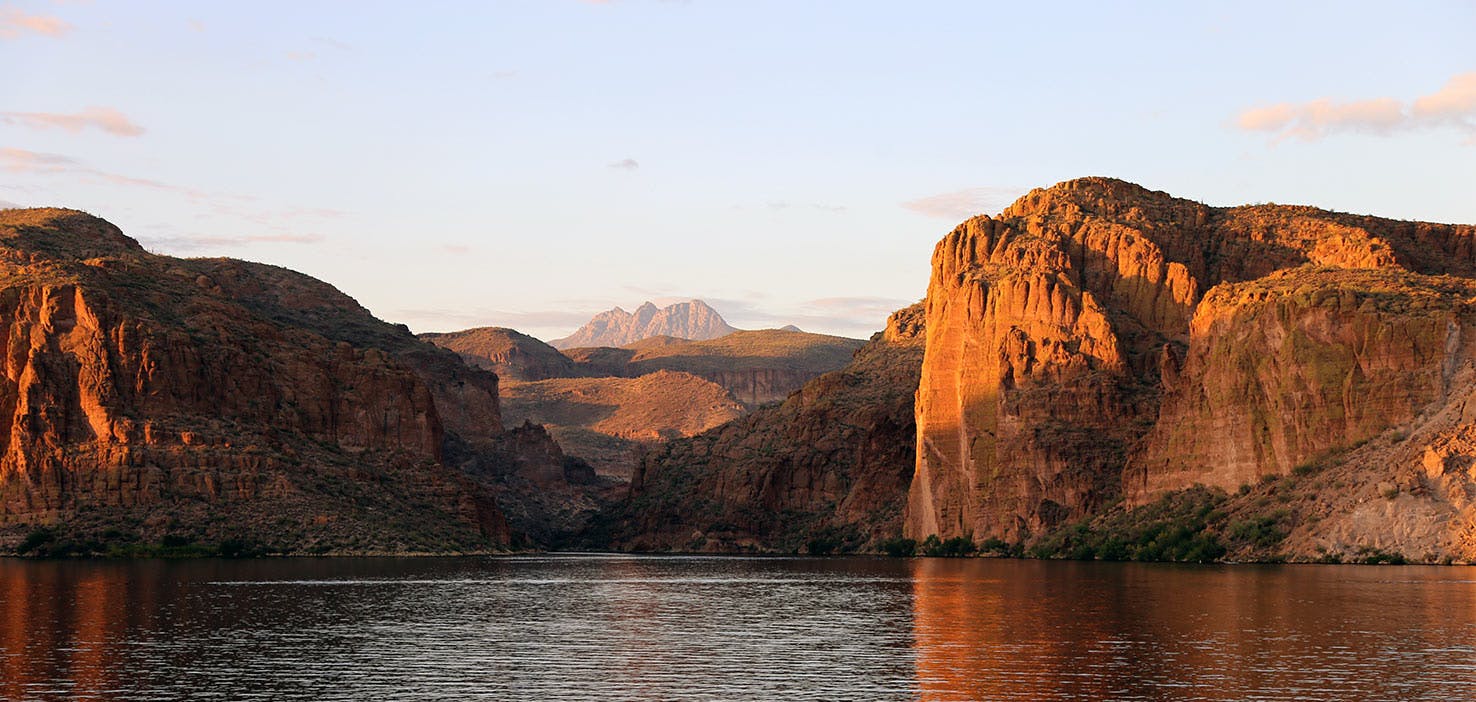 Dog Walkers in Apache Junction, AZ Dog Walking Near You Wag!