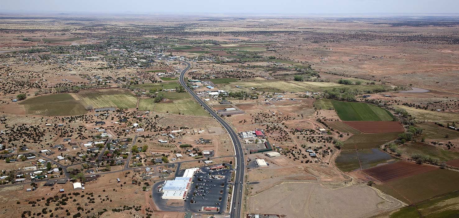 Dog Walkers in Snowflake, AZ Dog Walking Near You Wag!