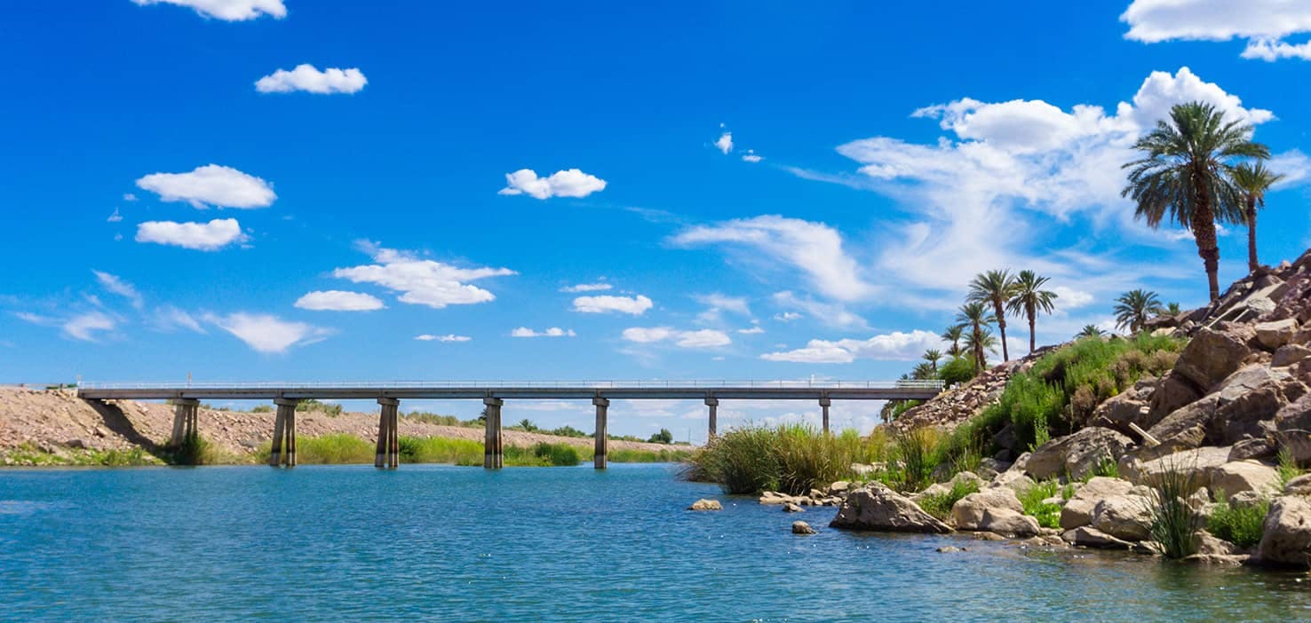 Dog Walkers in Yuma, AZ Dog Walking Near You Wag!