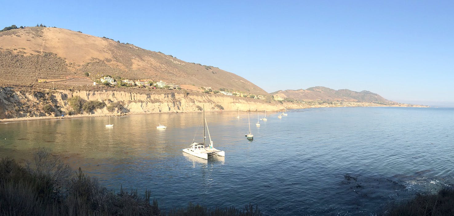 Dog Walkers in Avila Beach, CA Dog Walking Near You Wag!