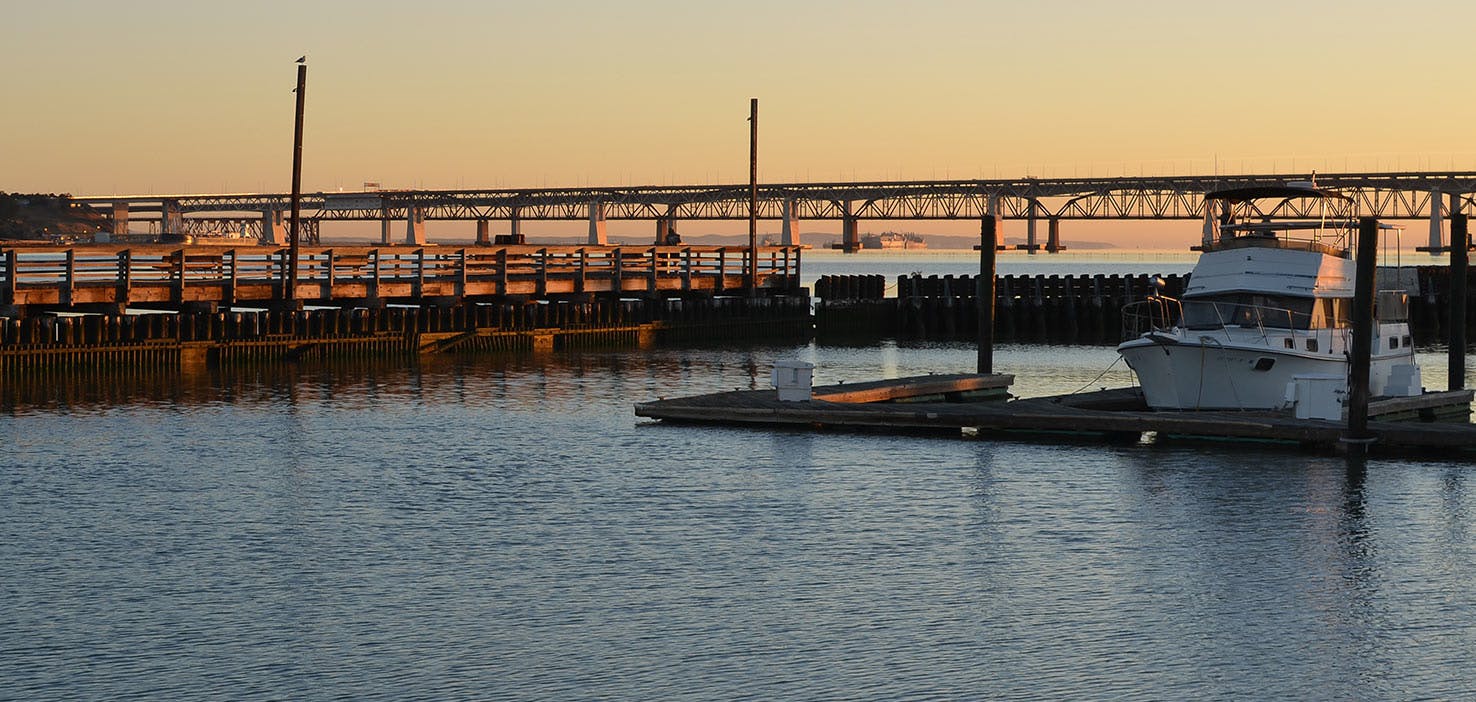 Dog Walkers in Benicia, CA Dog Walking Near You Wag!