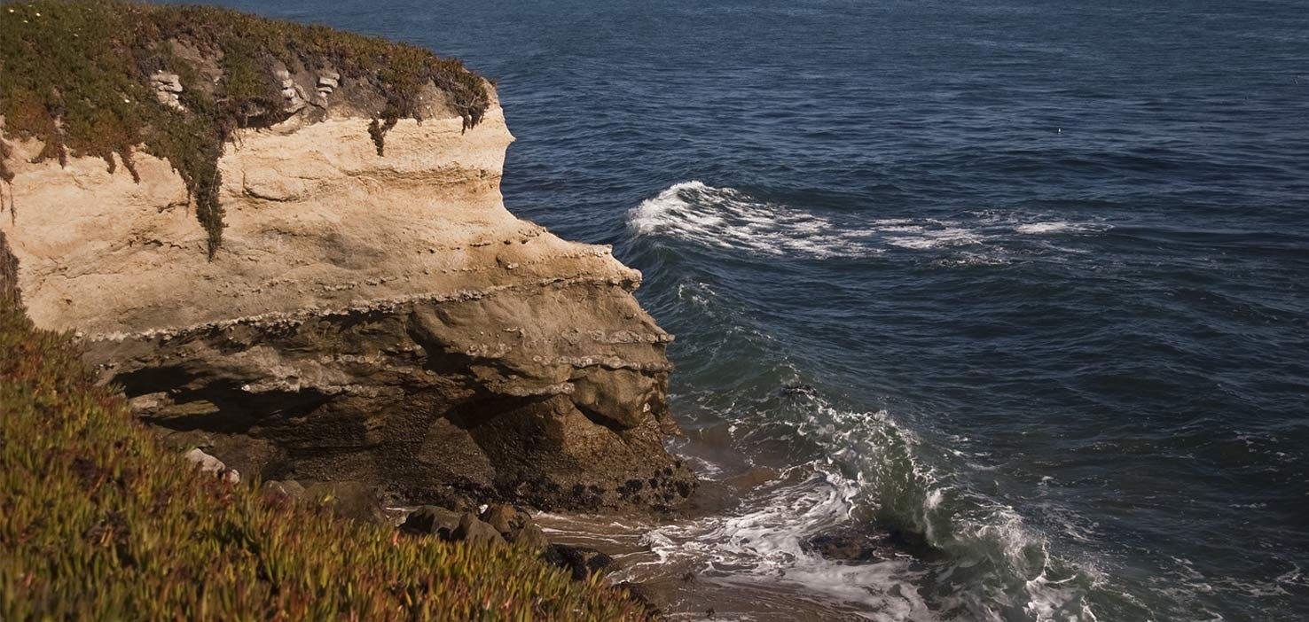 Dog Walkers in Capitola, CA Dog Walking Near You Wag!