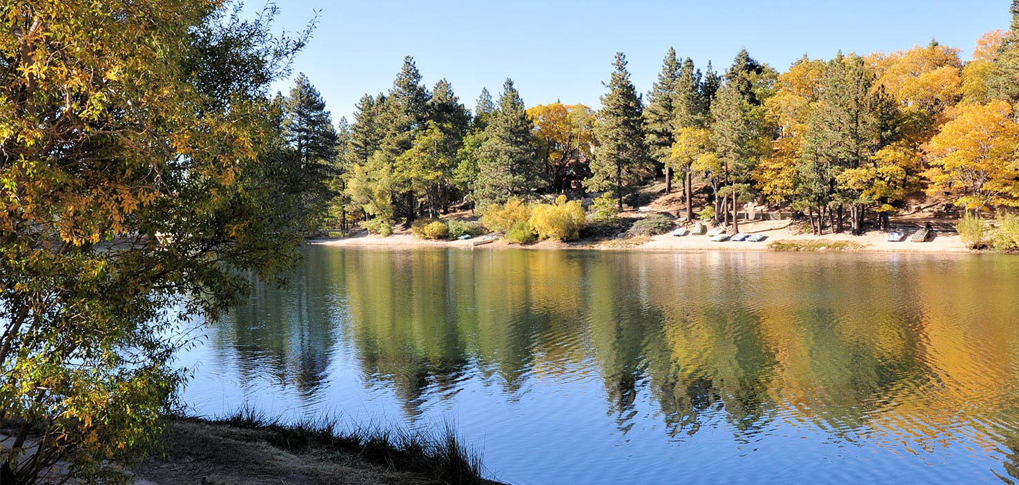 Dog Walkers in Green Valley Lake, CA Dog Walking Near You Wag!