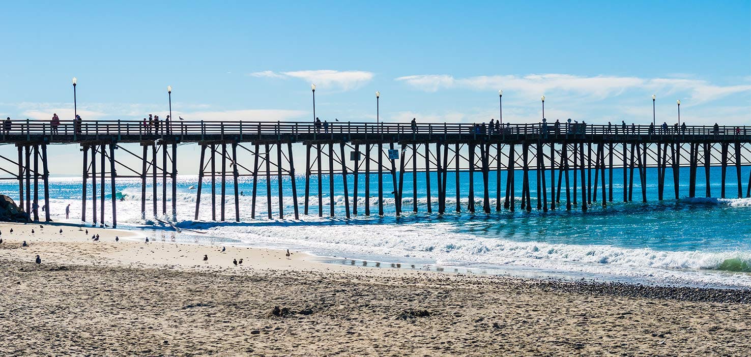 Dog Walkers in Imperial Beach, CA Dog Walking Near You Wag!