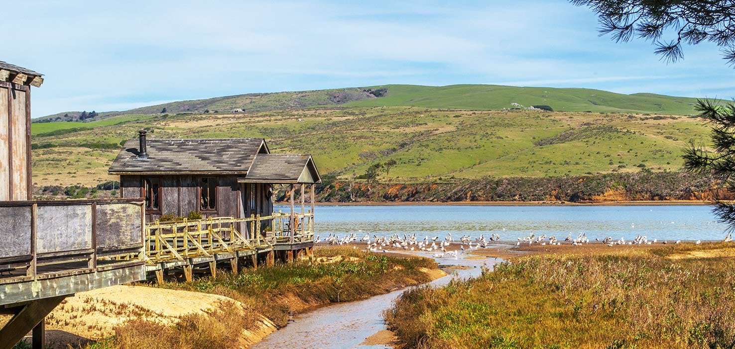 Dog Walkers in Inverness, CA Dog Walking Near You Wag!