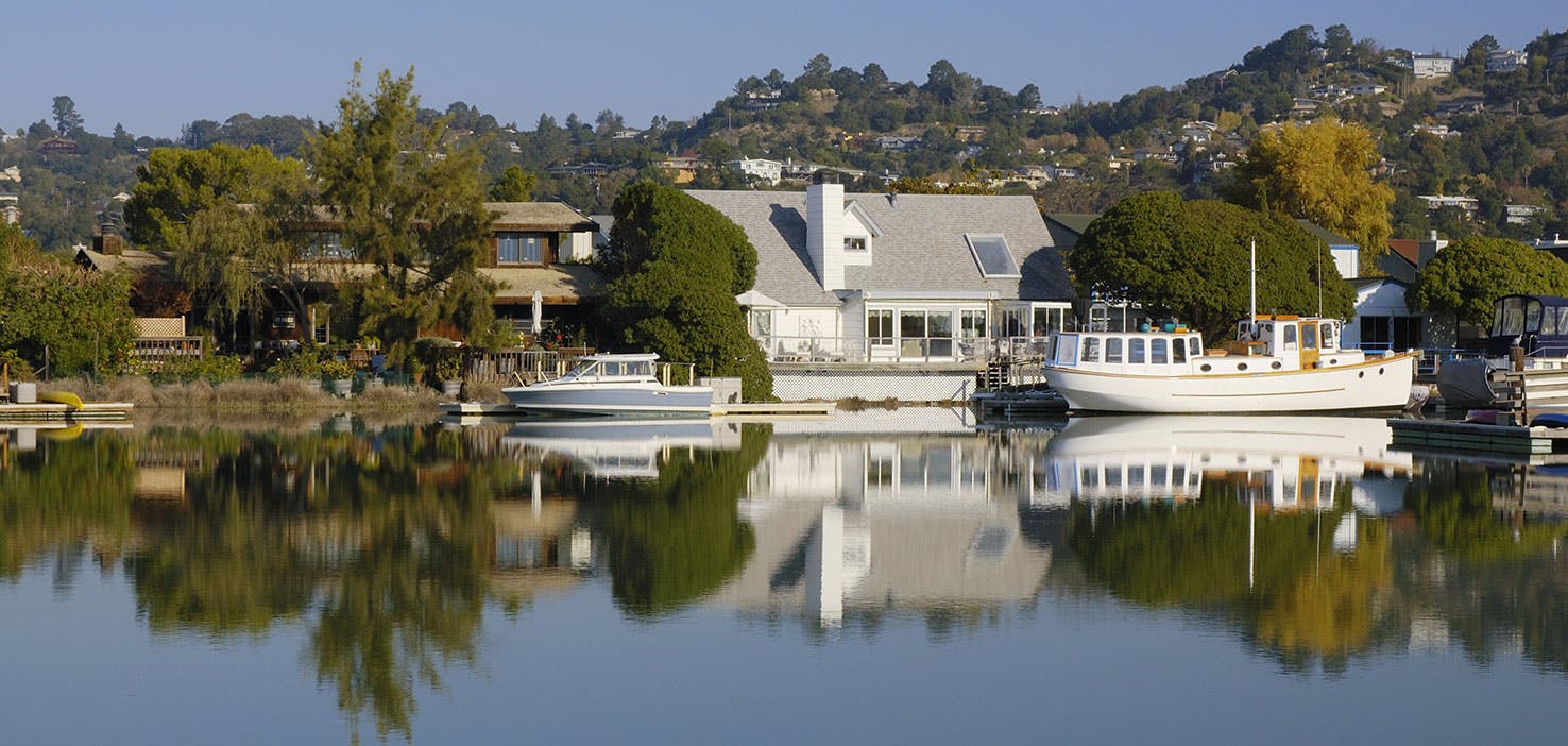 Dog Walkers in Larkspur, CA Dog Walking Near You Wag!