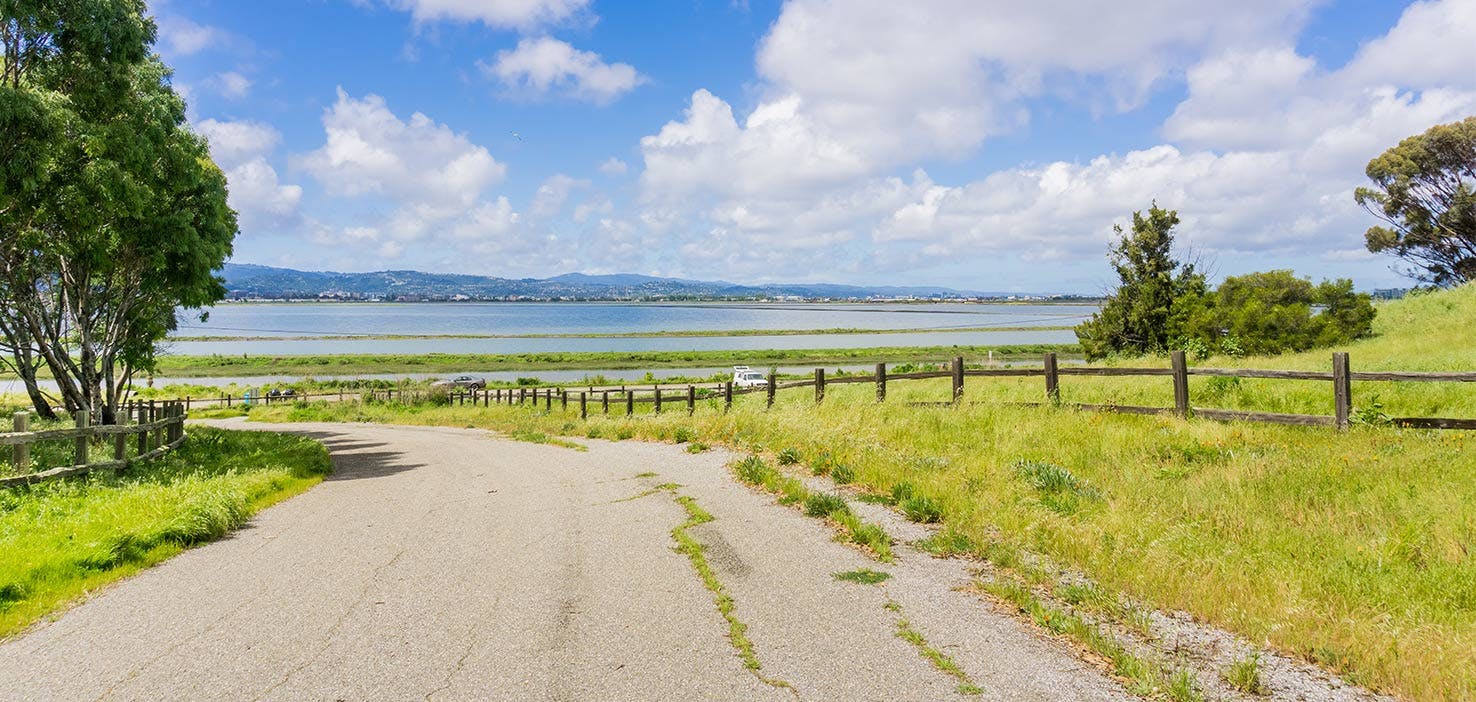 Dog Walkers in Menlo Park, CA Dog Walking Near You Wag!