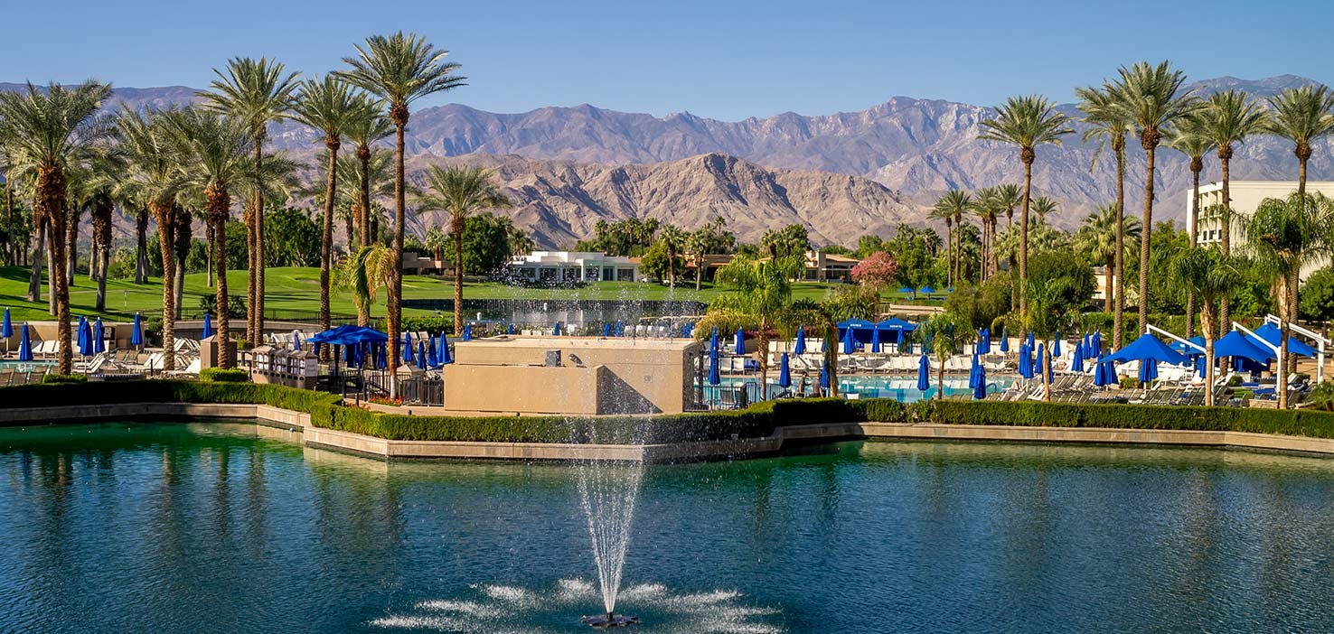 Dog Walkers in Palm Desert, CA Dog Walking Near You Wag!