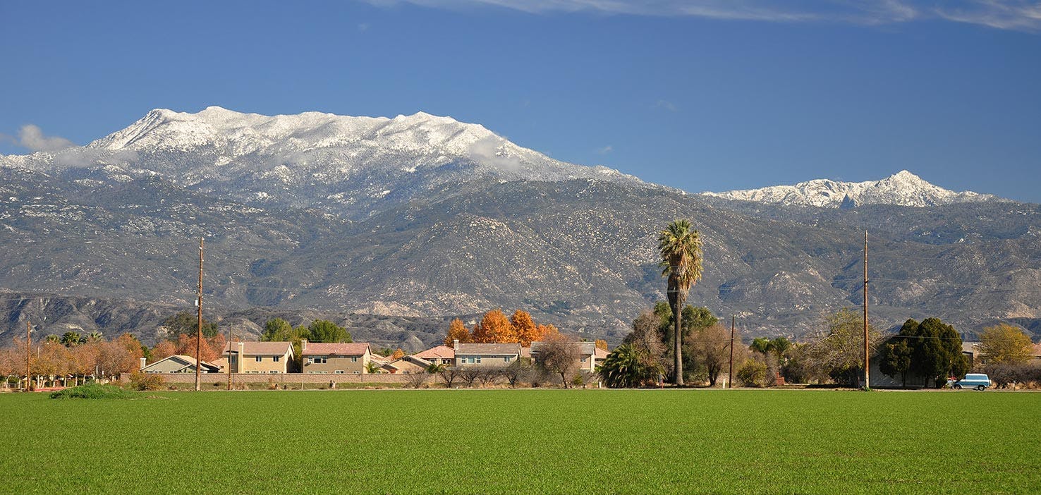 Dog Walkers in San Jacinto, CA Dog Walking Near You Wag!