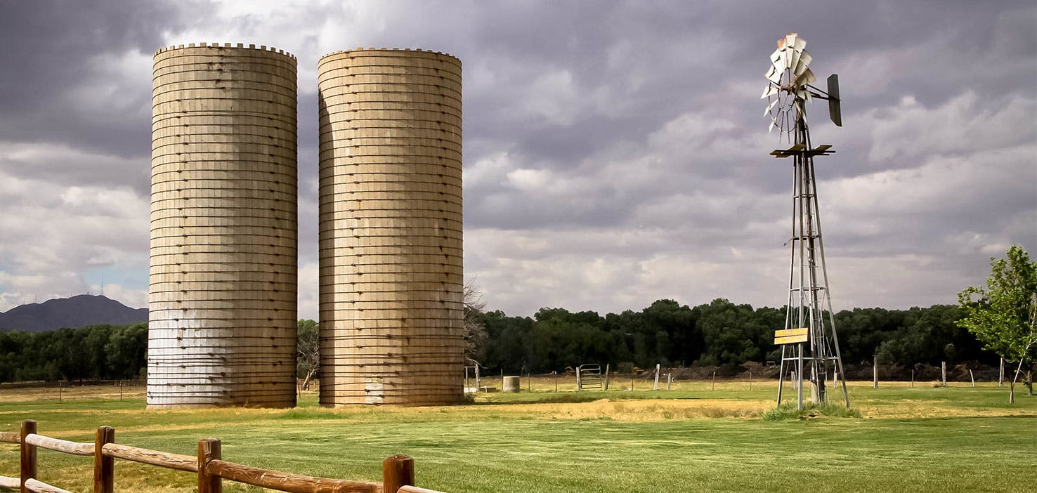 Dog Walkers in Victorville, CA Dog Walking Near You Wag!