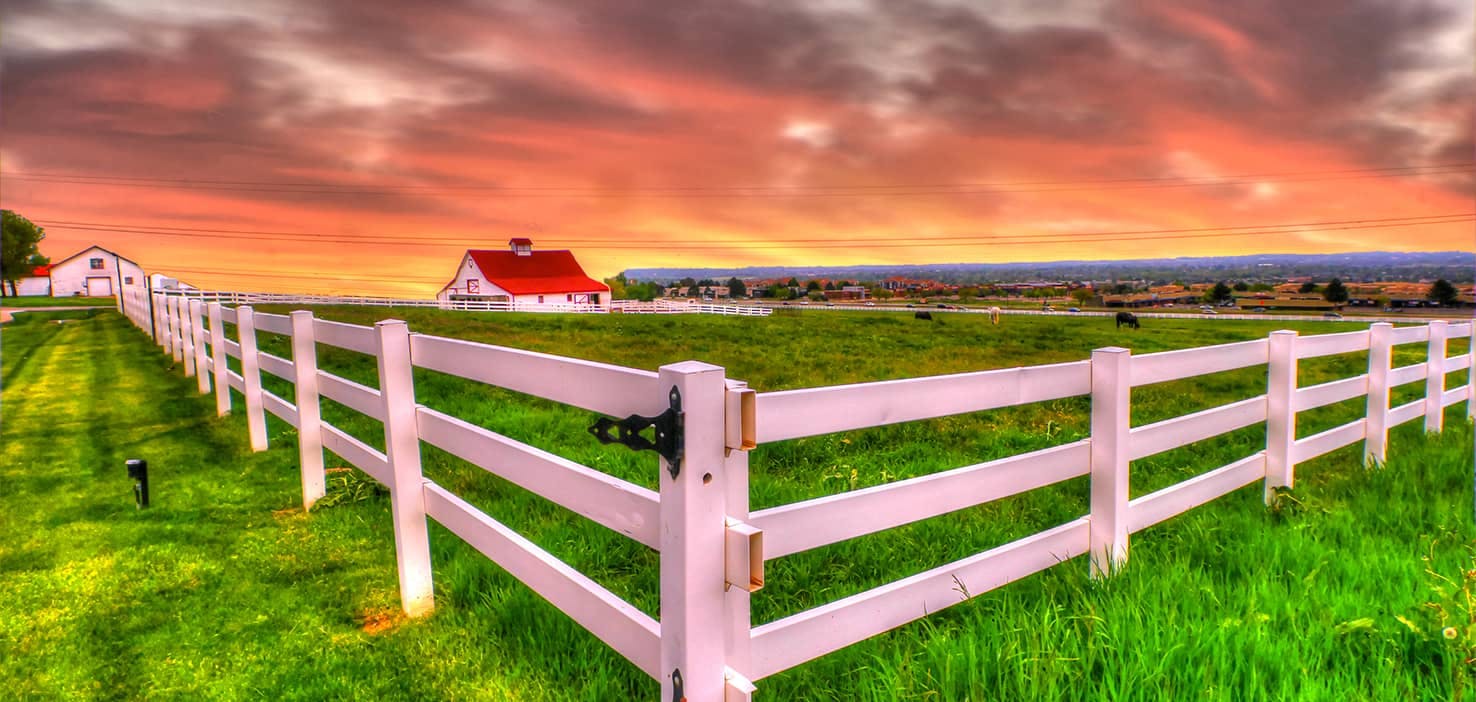 Dog Walkers in Broomfield, CO Dog Walking Near You Wag!