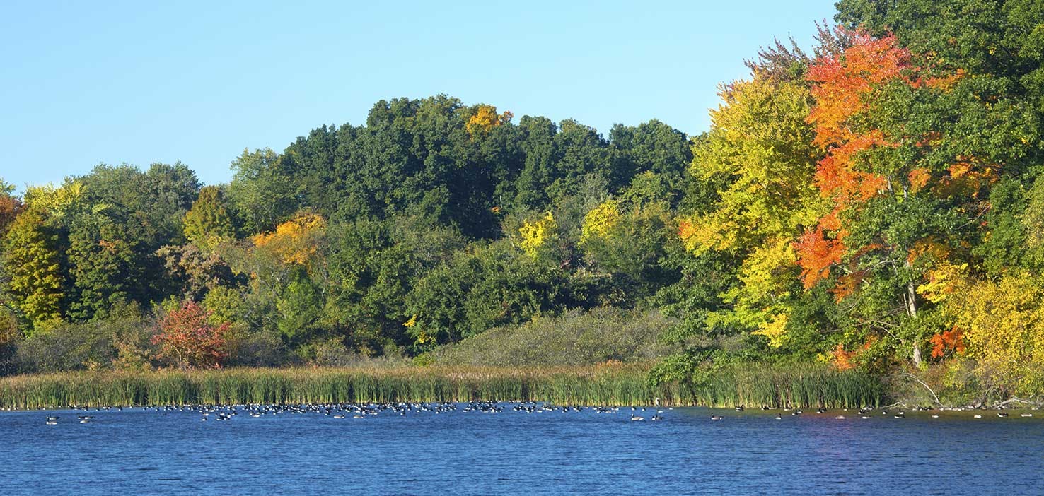 Dog Walkers in East Windsor, CT Dog Walking Near You Wag!