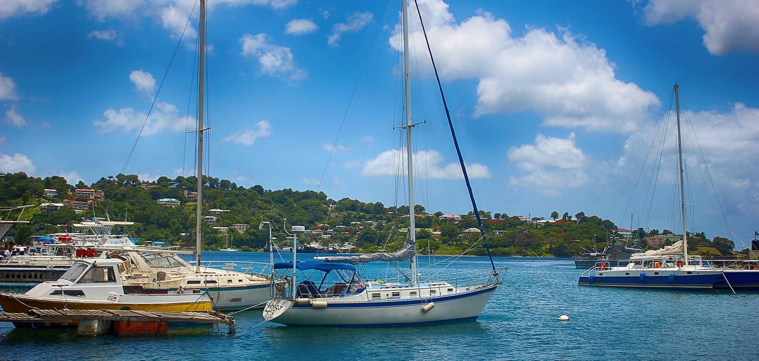 Dog Walkers in Cape Coral, FL Dog Walking Near You Wag!